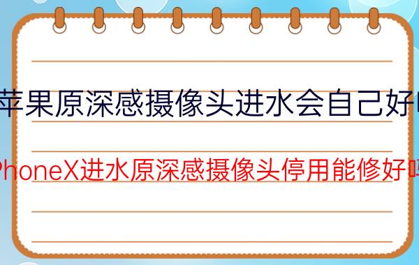 苹果原深感摄像头进水会自己好吗 iPhoneX进水原深感摄像头停用能修好吗？